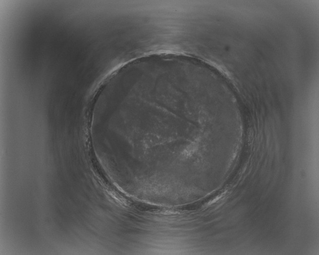 X0000073861359200608241058