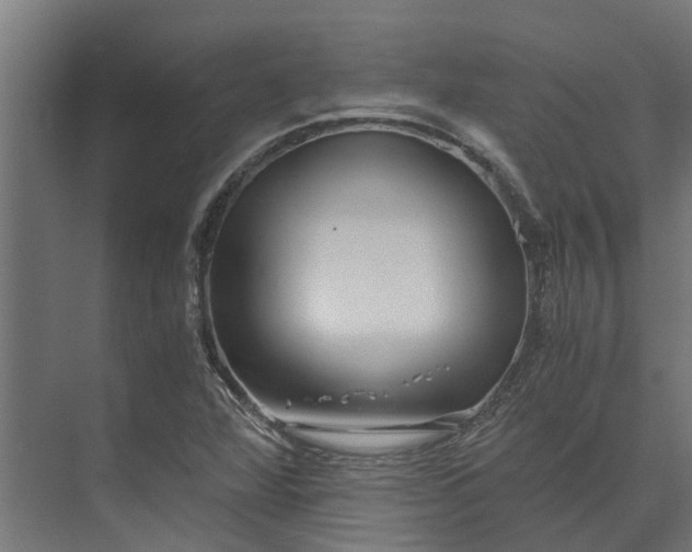 X0000073861360200608241058