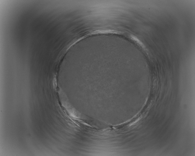 X0000073861361200608241058