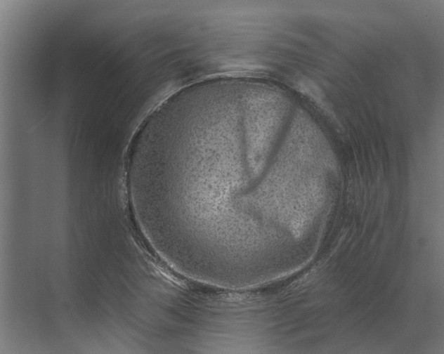 X0000073861362200608241058