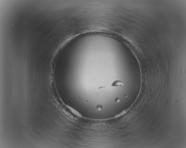 X0000073861363200608241057