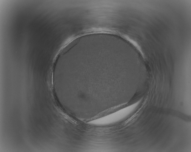 X0000073861365200608241057