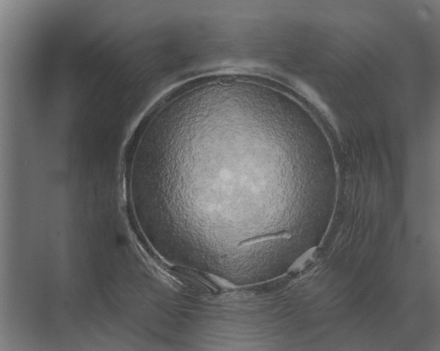 X0000073861368200608241057