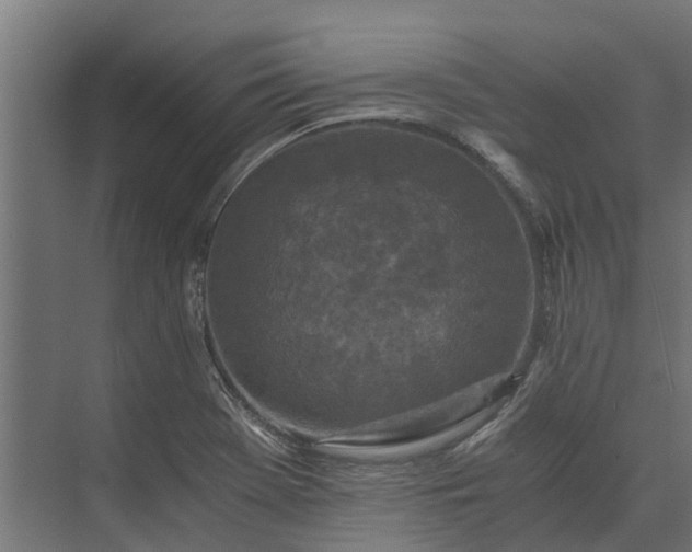 X0000073861369200608241057