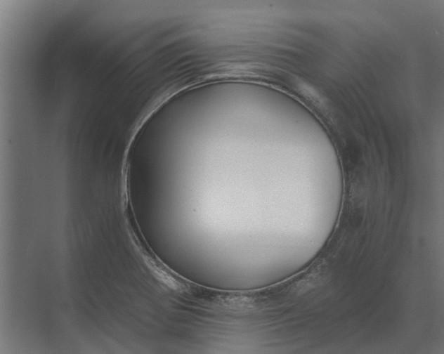 X0000073861370200608241057