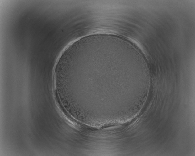 X0000073861371200608241057