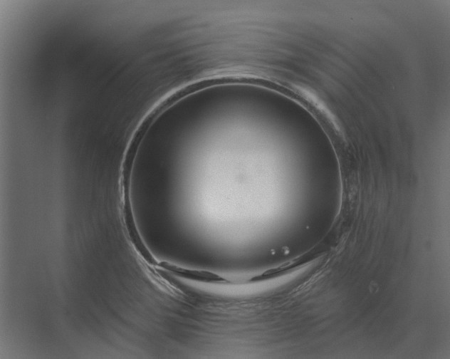 X0000073861372200608241057