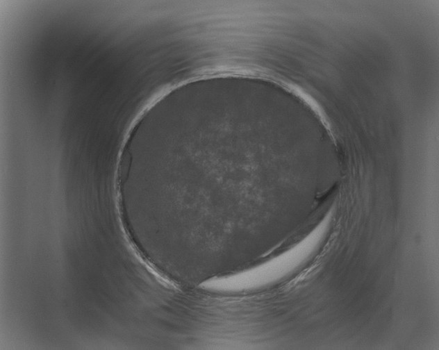 X0000073861373200608241057