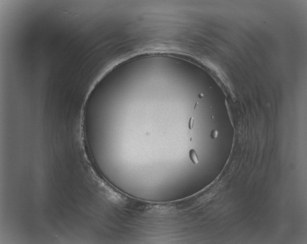 X0000073861374200608241057