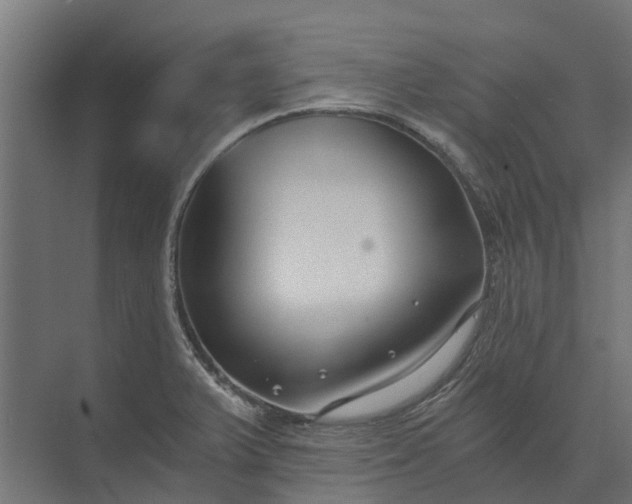 X0000073861375200608241057