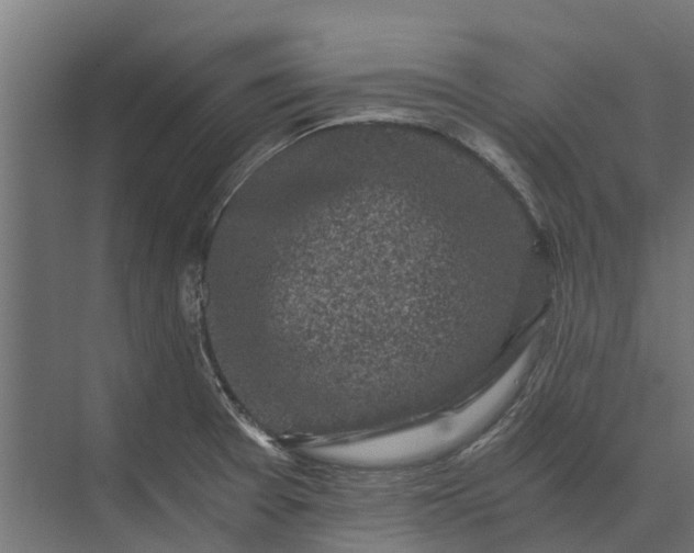 X0000073861377200608241057