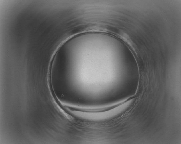 X0000073861379200608241057