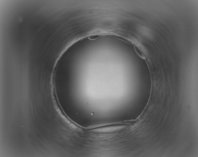 X0000073861382200608241057