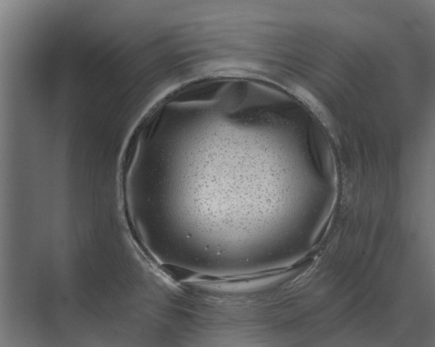 X0000073861384200608241057