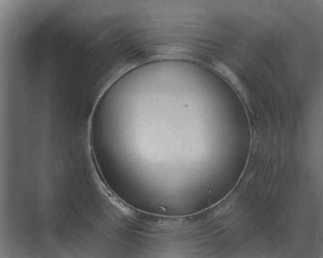 X0000073861386200608241057