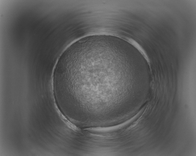 X0000073861388200608241057