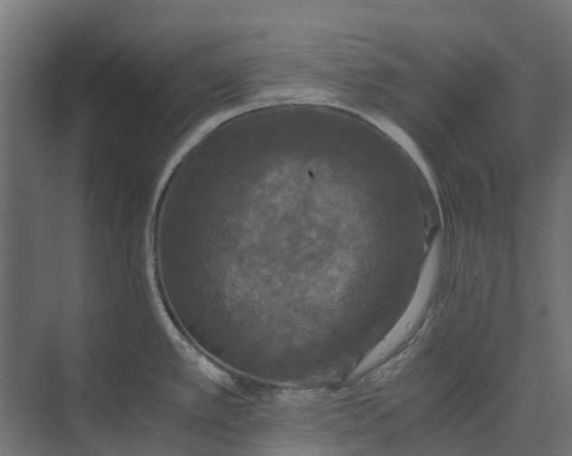 X0000073861389200608241057