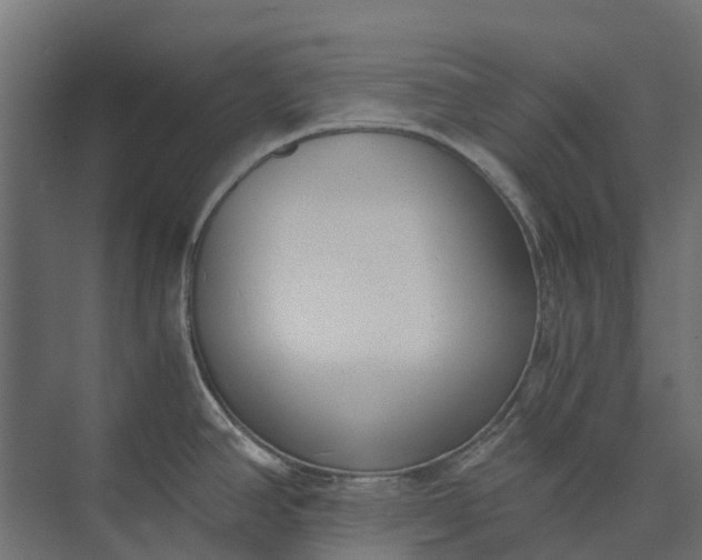 X0000073861390200608241057