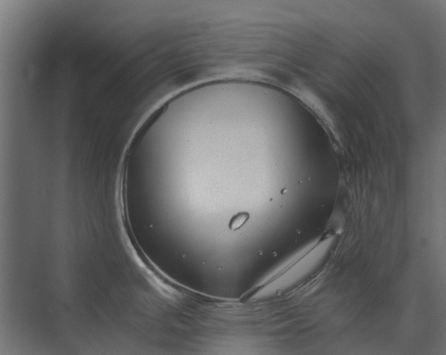 X0000073861391200608241057