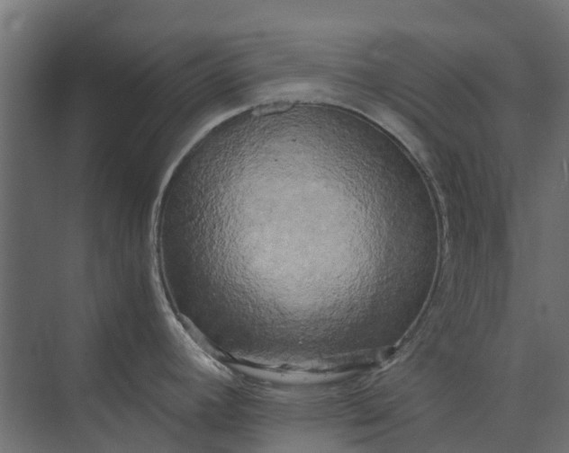 X0000073861392200608241057