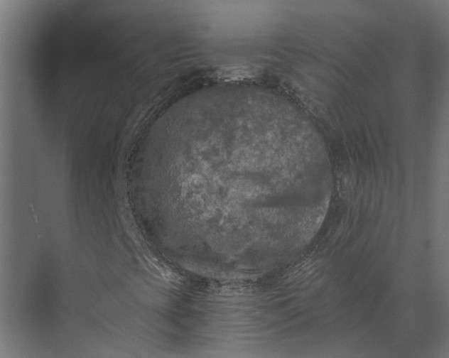 X0000073861393200608241056