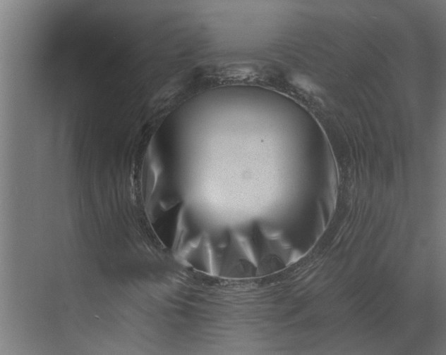 X0000073861394200608241056