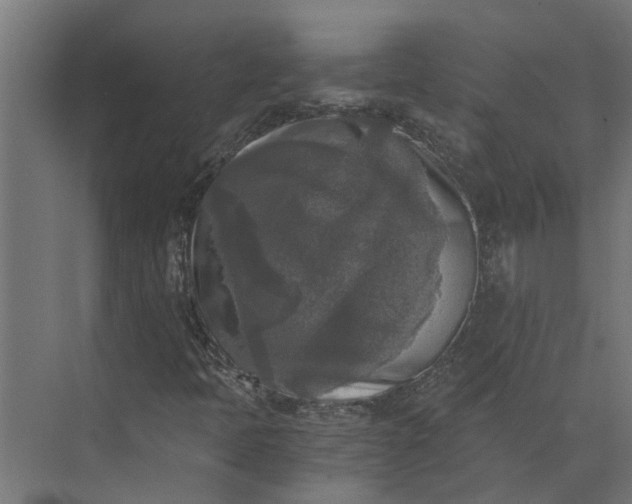 X0000073861397200608241056