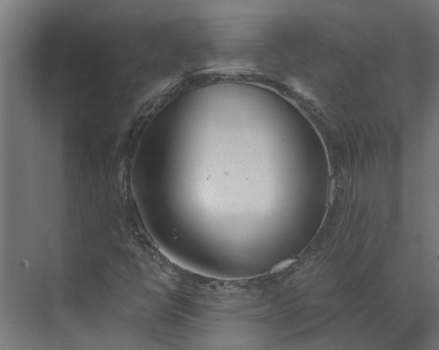 X0000073861398200608241056