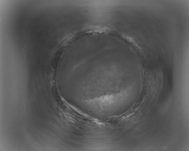 X0000073861399200608241056