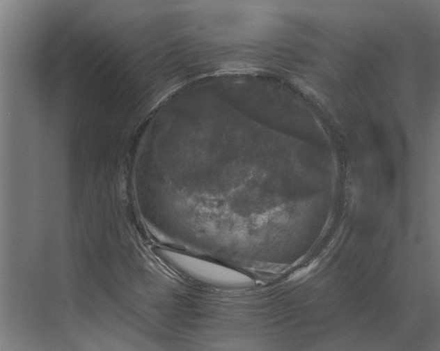 X0000073861401200608241056