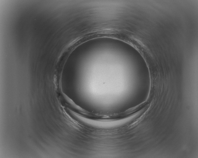 X0000073861402200608241056