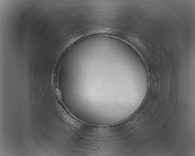 X0000073861404200608241056