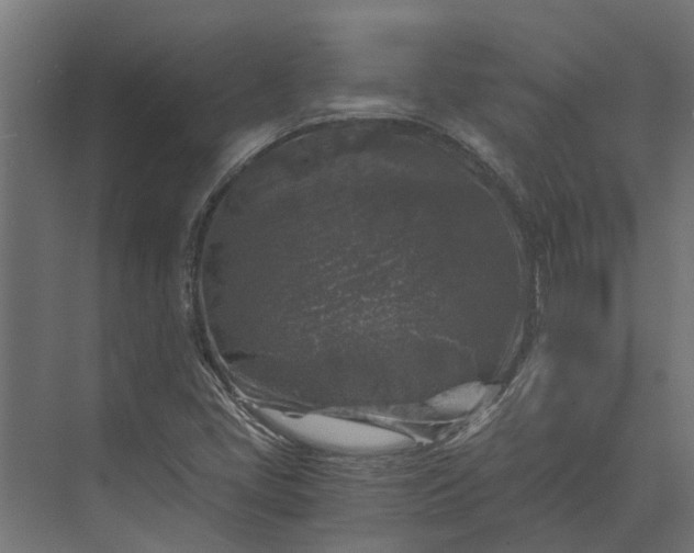 X0000073861405200608241056