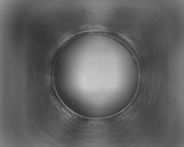 X0000073861407200608241056