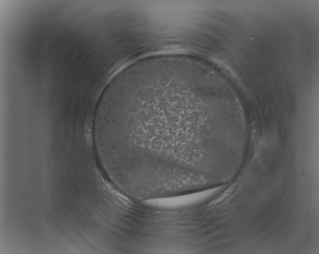 X0000073861409200608241056