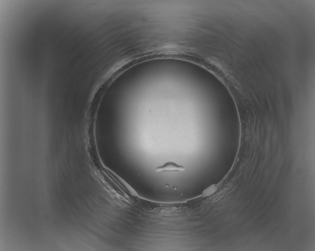 X0000073861410200608241056