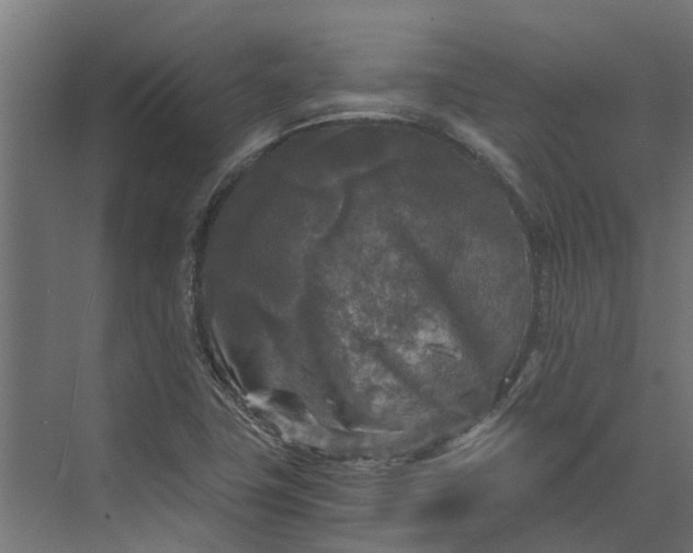 X0000073861411200608241056