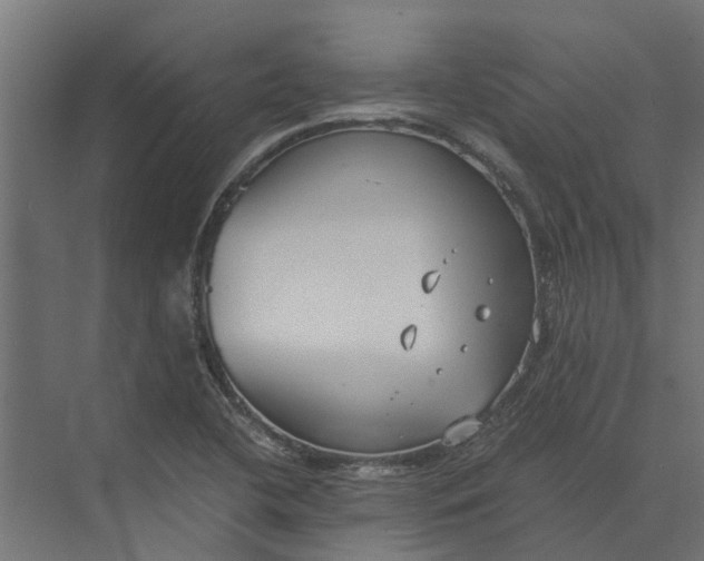 X0000073861412200608241057