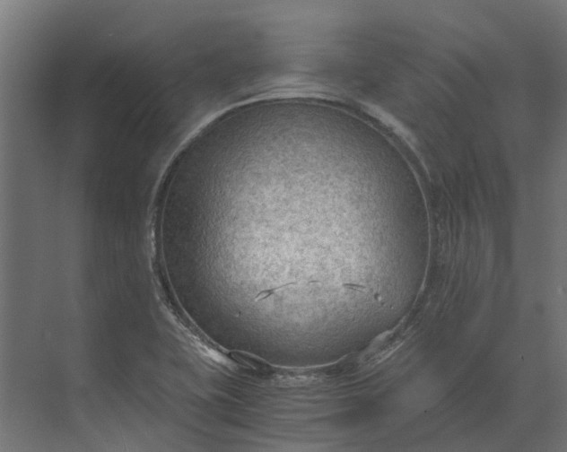 X0000073861415200608241057