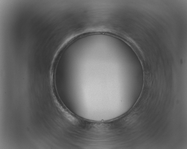 X0000073861416200608241057