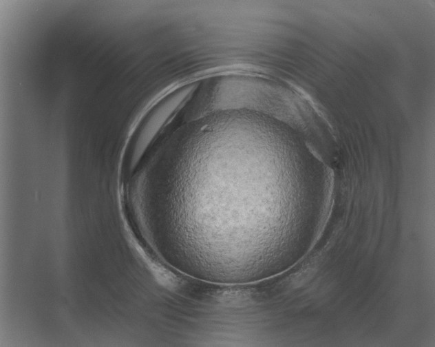 X0000073861418200608241057