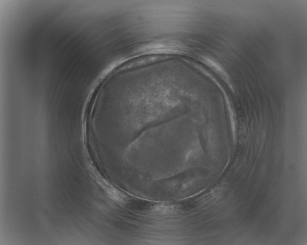 X0000073861419200608241057