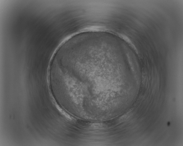 X0000073861421200608241057