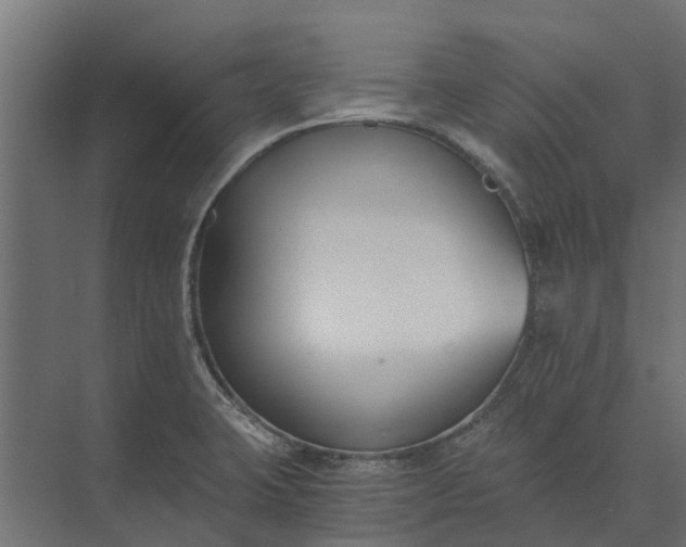 X0000073861423200608241057