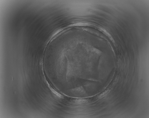 X0000073861425200608241057