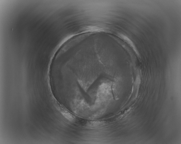 X0000073861427200608241057