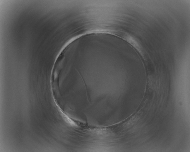 X0000073861428200608241057