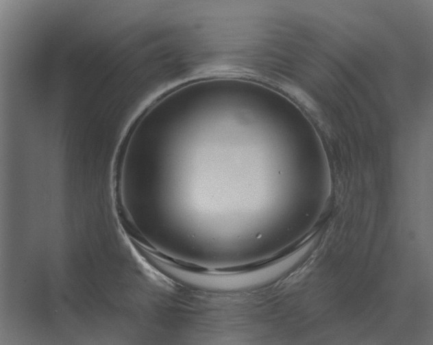 X0000073861430200608241057