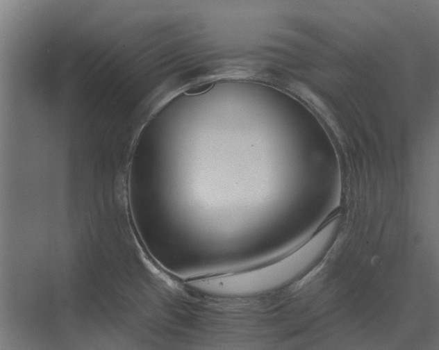 X0000073861433200608241057