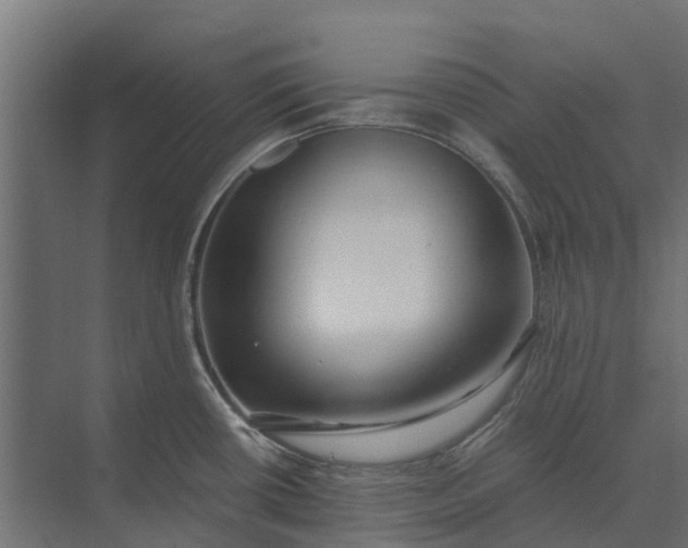 X0000073861434200608241057